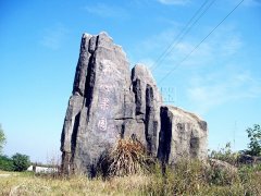 泰特儀器公司2016燒烤活動圓滿舉行